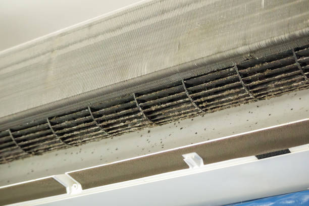 Best Commercial Air Duct Cleaning  in Pagould, AR