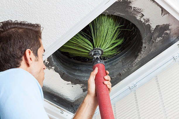 Air Duct Mold Removal in AR